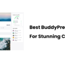 Best BuddyPress Themes for Stunning Communities