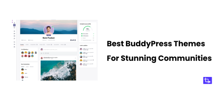 Best BuddyPress Themes for Stunning Communities