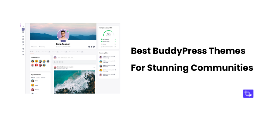 Best BuddyPress Themes for Stunning Communities