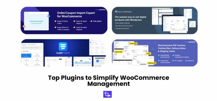 Top Plugins to Simplify WooCommerce Management