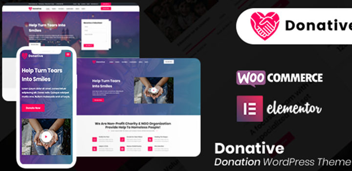 Donation WordPress Theme